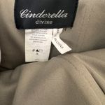 Cinderella  Divine Gray Satin Dress Size Small Photo 13