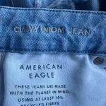 American Eagle Women’s Distressed Curvy Mom Jeans (8) Photo 4