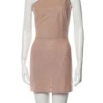 Bronx and Banco  One Shoulder Mesh Mini Dress Golden Tan Photo 5