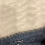 DL1961  Women's Classic Indigo Skinny Jeans Photo 4