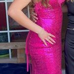 Hebeos Pink Sequenced Dress Photo 0