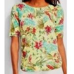 Talbots  Tropical Parrot Bird Stretch Knit Blouse Short Sleeve Crew Neck, Size S Photo 1