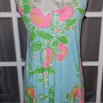 Lilly Pulitzer  Womens Pool Blue Pink Lemonade Carmel Tank‎ Dress Sundress XS Photo 0