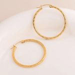 Round Planting Stainless Steel 18K gold plated‎ Hoop Earrings Photo 2