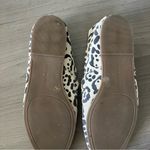 Lucky Brand Cloeey Leopard Suede Slide Mule Slip On 10M Photo 5