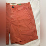 Anthropologie The Wanderer shorts size 25 Rust Orange 6” inseam Photo 1