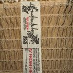 Free People  Top Womens Large Latte Casino Royal Brami Crop Smocked Back Y2K NEW Photo 6