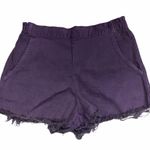 Urban Outfitters Renewal Plum High Waisted Purple Shorts Summer Medium Pocket Photo 0