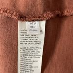 Free People  We the Free Clover Puff Shoulder Top in Burnt Orange Mesa Photo 6