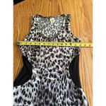Sexy Leopard Print Maxi Dress With Sheer Waist Panel Photo 7