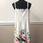 Cato NWT  Floral Dress Photo 1