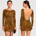 Leopard Print Long Sleeve Dress Brown Photo 1