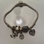 Pandora Charm Bracelet Photo 0