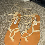 Steve Madden  Tan Strappy Sandals Photo 0