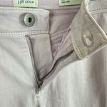 J.Jill  Denim Cotton Blend Very Light Purple Mid Rise Slim Ankle Jeans Size 4 Photo 2