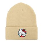 Hello Kitty NWT Adorable Women's  Embroidered Foldover Cuffed
Knit Hat Photo 0