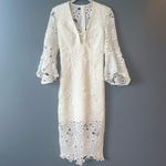Bardot Indra Ivory Lace Sheath Dress Photo 3