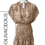 Olivaceous  Dress Photo 1