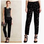 Anthropologie  Harlyn Sienna Black Floral Velvet Pants Photo 1