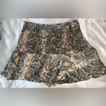 ZARA  Brown Snake Print Mini Skirt Photo 4