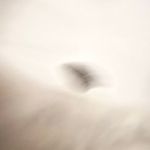 Lane Bryant  Women’s 22W Tan Brown Faux Leather Pants Photo 3