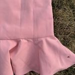 Bardot NWT Gigi Ruffle Hem Fit & Flare Minidress Light Pink Photo 3