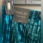 Rachel Zoe  Teal Velvet Striped Pants Medium NWOT Photo 2