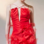 For Love & Lemons  Red Tulle Mini Strappy Dress NWT Elegant with Floral Accents Photo 0