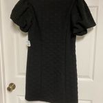 Betsey Johnson New  Dress Size XL Photo 7