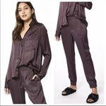 Young Fabulous and Broke ✨ Jensen Chocolate Brown Satin Jogger ✨ Photo 3