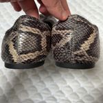 Loft  Snakeskin Patterned Flynn ballet flats size 8.5 Photo 1