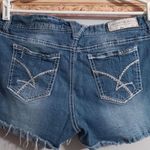 Amethyst Jeans Y2K  Denim Embroidered Blue Floral Button Fly Shorts Mid-High Rise #Fairycore #Whimsical #Cottagecore Beach #Boho #Hippie Indie Summer-Size 20  Photo 1