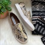 Steve Madden • safary python snakeskin metallic sneakers Photo 34