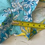 Lilly Pulitzer Adie Breakwater Blue Daisy Dance Allover Shorts Sz 4 Photo 6