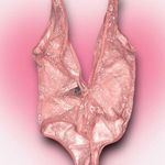 Victoria's Secret ★ Victoria’s Secret (NWT) Women’s Sexy Pink Bodysuit w/ A Thong ★ Photo 3