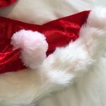 Dreamgirl  Santa’s Sweetie Costume Size L Photo 10