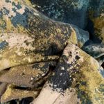 Elle Paint Splattered Top Photo 5