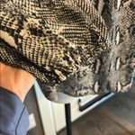 J.Crew Factory Women's Black and White Snake Patterned Top Photo 2