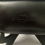 Coach : Translucent Blue (C3504) Sunglasses Photo 5