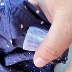 Garnet Hill  blue button down blouse 8 Photo 6