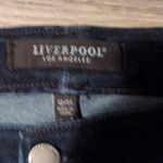 Liverpool Jeans Company Liverpool Walcott Hannah Crop Flare Jeans Size 12/31 Photo 4