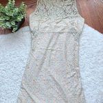 American Rag Champagne gold lace fitted Bodycon dress SZ small Photo 0