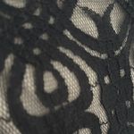 Maggy London  Bodycon Black and Tan Lace Midi Dress Photo 8