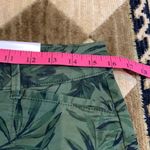 Old Navy NWT…OLD BAVY Olive Leaf Pixie Chino Shorts Photo 6