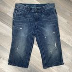 Loft Ann Taylor Boyfriend Jean Shorts Blue 0 Bermuda Distressed Photo 1