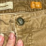 Pilcro and the Letterpress  Tan Corduroy Pants Photo 5