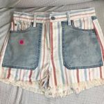 American Eagle Outfitters Shorts Size 6 Photo 0