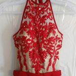 Paparazzi Beaded Embroidered Net Jersey Gown by  Prom Size 2 Photo 3