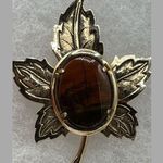 Stunning vintage statement brooch Brecciated Jasper Brown Photo 1