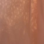 YA Los Angeles Peach Colored Blouse by ya Photo 5